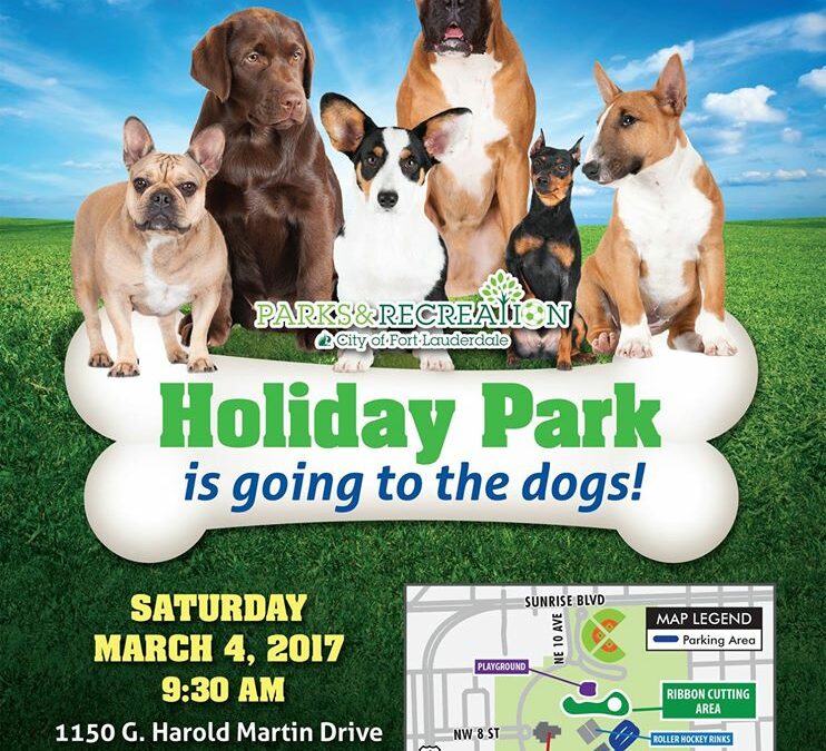 Best and Newest Dog Parks in Broward