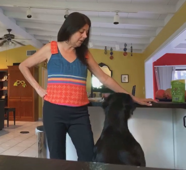 How to Reduce Counter-Surfing: Video