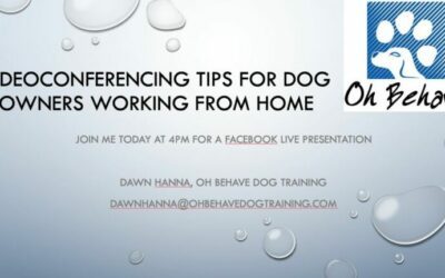Videoconferencing Tips for Dog Owners