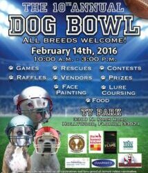 Dog Friendly Events in SOFLA!